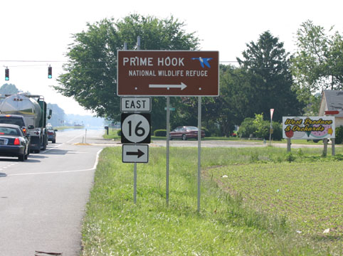 [Link to Prime Hook National Wildlife Refuge]